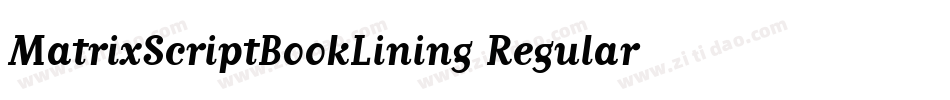 MatrixScriptBookLining Regular字体转换